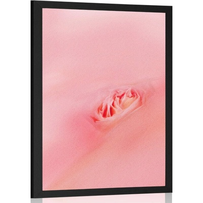 Plakát v objetí růžové - 40x60 no frame