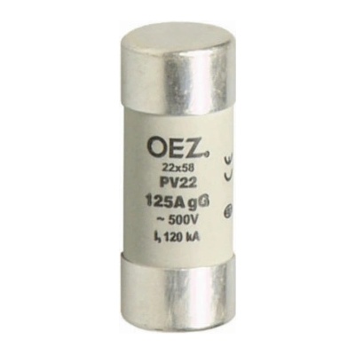 Pojistka válcová PV 22 100 A aM