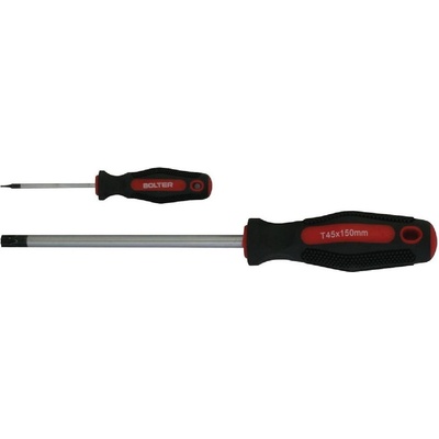 BOLTER Отвертка Torx Bolter - T5, 3х60 mm (XG53638)