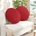 vidaXL Възглавници за седалки 2 pcs Червено Ø80 x 29 см текстил (42014243)