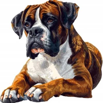 Norimpex - Puzzle Diamant painting: Boxer 30x40cm - 1 - 39 piese
