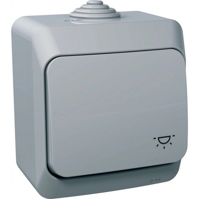 Schneider Electric WDE000613 Cedar Plus