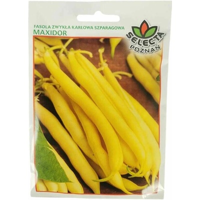 Fazuľa kríčková žltá "Maxidor" 30 g
