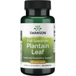 Swanson Full Spectrum Plantain Leaf 400 mg [60 капсули]