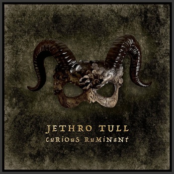 Jethro Tull Curious RuMinant 3 CD