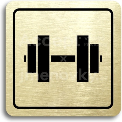 ACCEPT Piktogram fitness V - zlatá tabulka - černý tisk