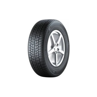 GISLAVED EURO*FROST 6 195/55 R16 91H