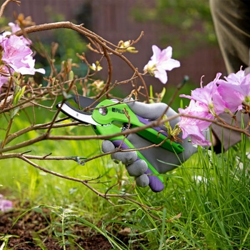 Image 1 of PALISAD 605318