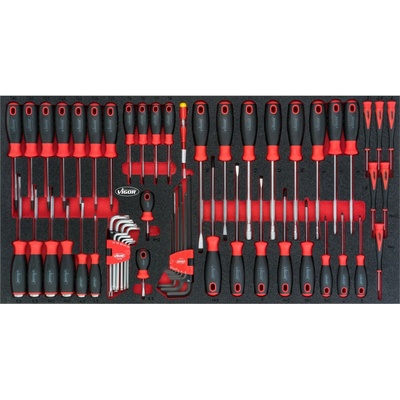Vigor V5170
