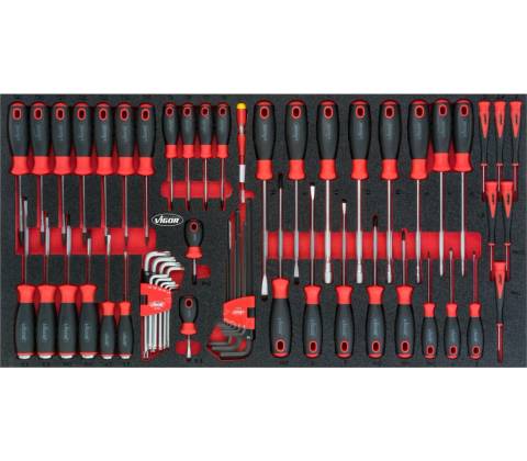 Vigor V5170