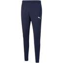 Puma teamRise Poly Training