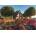 Educa - Puzzle Santana, Madeira - 1 500 piese