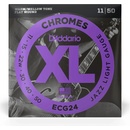 D'addario ECG24