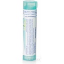 Calcarea Phosphorica gra.1 x 4 g 200CH