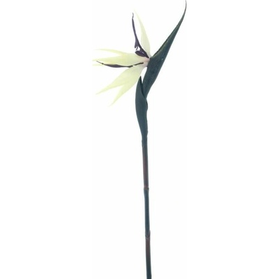 Malá strelície krémovo-fialová 84 cm