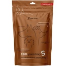 Cure Point CBD Immunity S Pamlsky pro psy 100 g