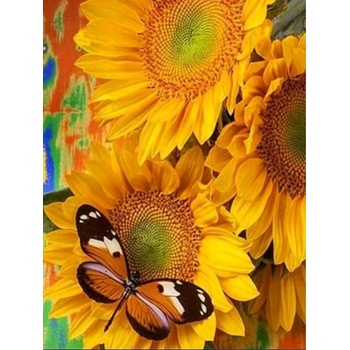 Image 1 of Слънчогледи и пеперуда 24/34 см