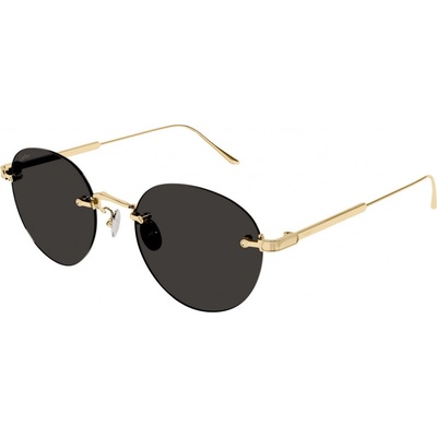 Cartier CT0393S 002