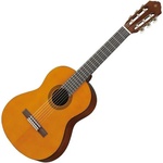 Yamaha CGS102AII