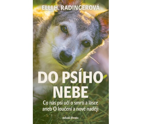 Do psího nebe