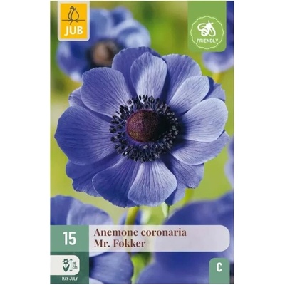 Karta Sasanka Anemone Coronaria Hollandia 15 cibulí "C"
