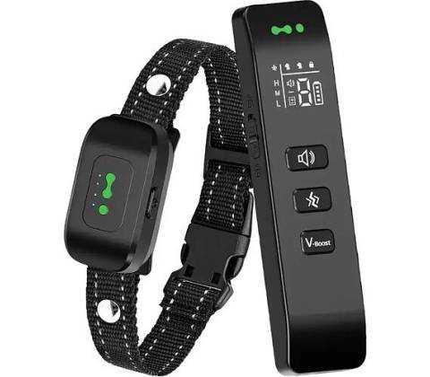 Reedog VS8 pro 1 psa