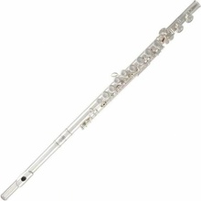 Roy Benson FL-602E