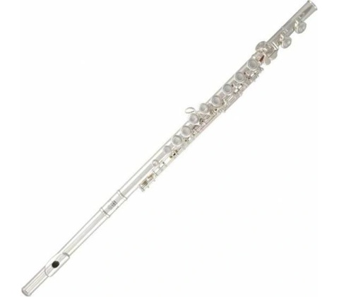 Roy Benson FL-602E
