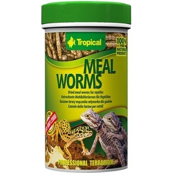 Tropical Meal Worms 100 ml