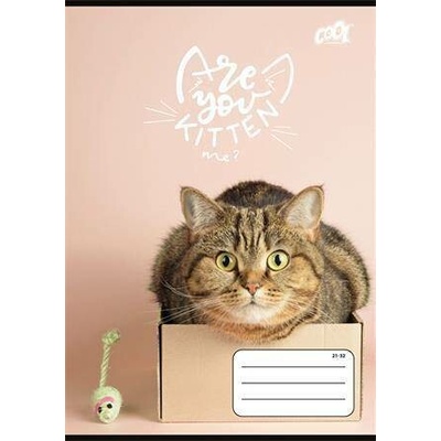 COOL BY VICTORIA Sešit Cats Forever 21 32 mix motivů A5 linkovaný 4 8. třída