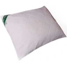 2G Lipov polštář Aloe Vera zip a kuličkovou náplní 70x90