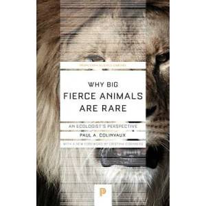 Why Big Fierce Animals Are Rare | Paul A. Colinvaux (ISBN: 9780691178080)