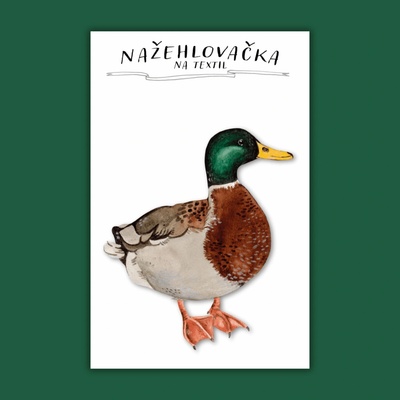 ePiPí Nažehlovačka - Kachna – Zbozi.Blesk.cz