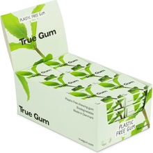 True gum máta 24x21g