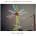 North Mississippi Allstars - Still Shakin' (LP) (0607396591916)