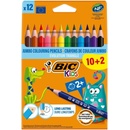 Bic Evolution Triangle 12 barev BIC 8871463