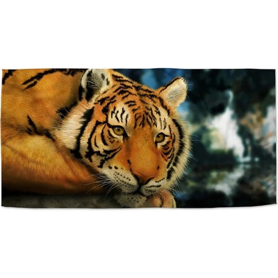 Sablio Uterák tiger 30 x 50 cm