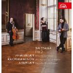 Supraphon Smetanovo trio: Zemlinsky, Rachmaninov, Arensky - CD (025799)