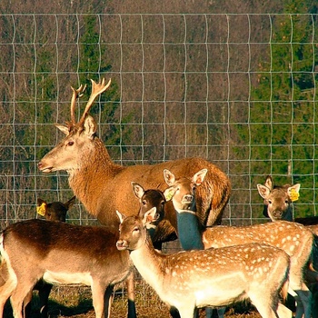 BETAFENCE Оградна мрежа ursus (bk 0044478)