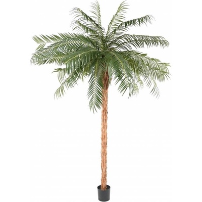 Umělá Phoenix palma přírodní kmen, 340cm