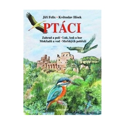 Ptáci