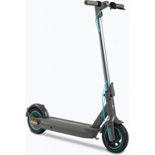 Motus Scooty 10 2022