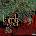 Lamb Of God - Ashes Of The Wake (Anniversary Edition) (Reissue) (2 LP) (196588907913)