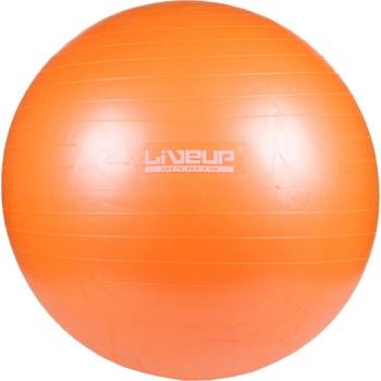 LiveUp gymball Anti-Burst 65 cm
