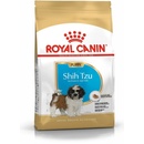Royal Shih Tzu Puppy 1,5 kg