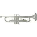 Roy Benson TR-202S