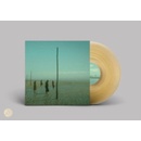 In All Her Forms - Devil's Witches LP