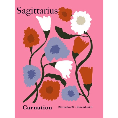 Plagát, Obraz - Sagittarius Carnation Blooms, Miho Art Studio, 30 × 40 cm
