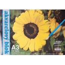 Akvarelový blok A3 čistý 10 listů