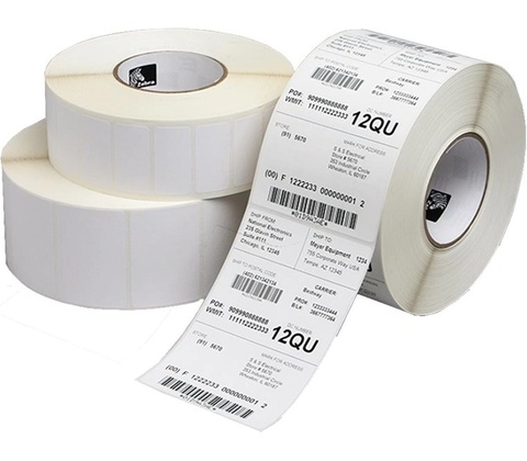 Zebra 800262-125